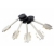 Zamek 1563 klucz